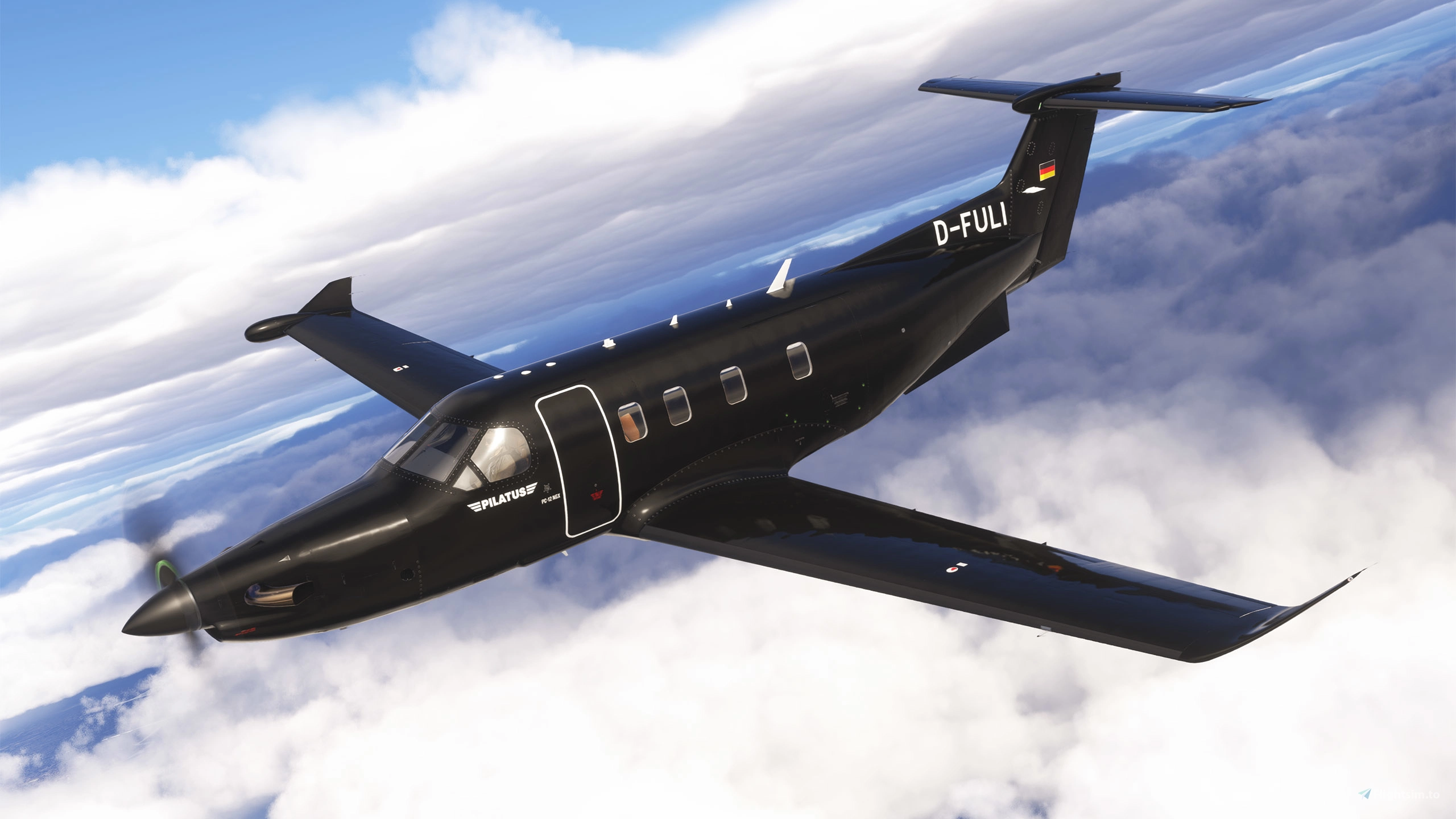 Pilatus PC-12 NGX livery 1